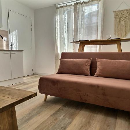 דירות אלבי Le Petit Evali - Wifi - Centre מראה חיצוני תמונה